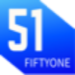 51 Insights logo