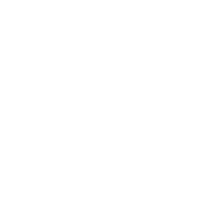 9mm logo