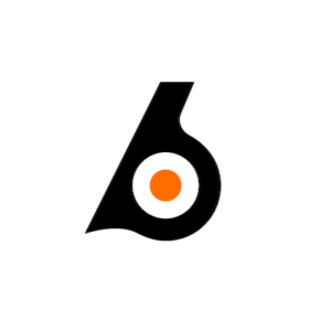 Birdeye logo