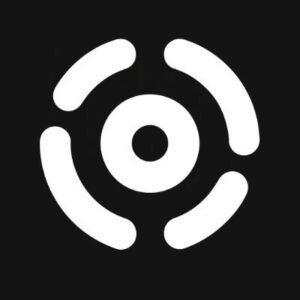 Blinks Labs logo