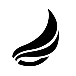 Cryptoflies logo