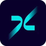 Deus X Pay logo