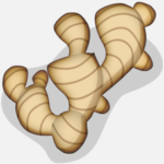 Ginger Security logo
