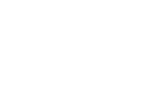 Lideflow logo