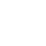 Ligma Node logo
