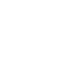 Ligma Node logo