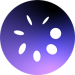 Loop logo