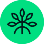 Mangrove logo