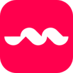 Mezo Bridge logo