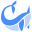 Narval logo