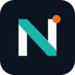 Norynta logo