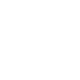 Oasis Network logo