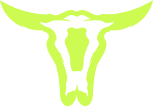 Outlaw Wallet logo