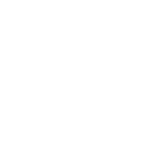 Portal Bridge logo