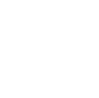 Portal Bridge logo