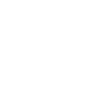 Reflex logo
