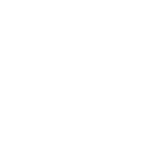 Silk Nodes logo