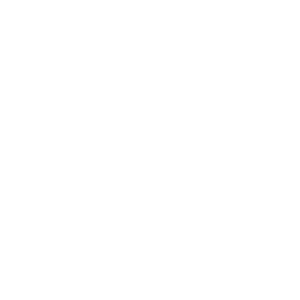 Silk Nodes logo