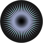 Sonus Exchange logo
