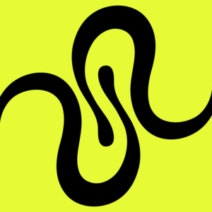 Squid logo
