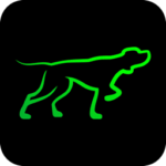 XSY logo
