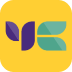 Yellow Card logo